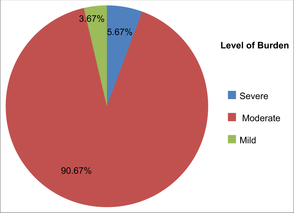 Burden on caregivers based on score in the questionnaire.